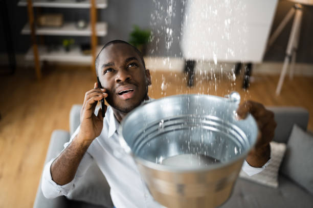 Best Flood restoration services  in Sulphur Springs, TX