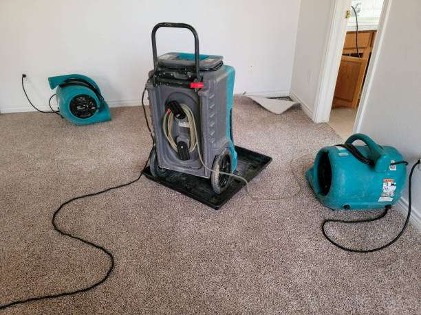 Trusted Sulphur Springs, TX Water damage restoration Experts