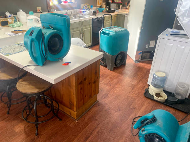 Best Flood damage cleanup  in Sulphur Springs, TX