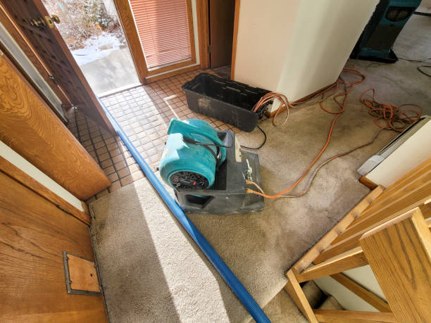 Fire Damage Restoration in Sulphur Springs, TX