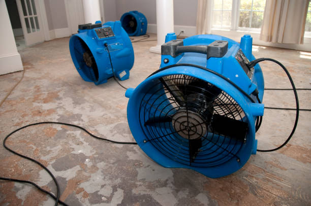 Sulphur Springs, TX Water damage restoration Company