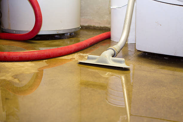 Best Water damage restoration near me  in Sulphur Springs, TX