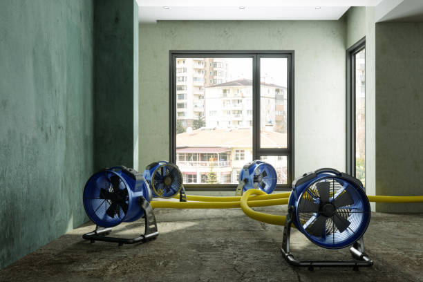 Best Sewage cleanup and water damage restoration  in Sulphur Springs, TX